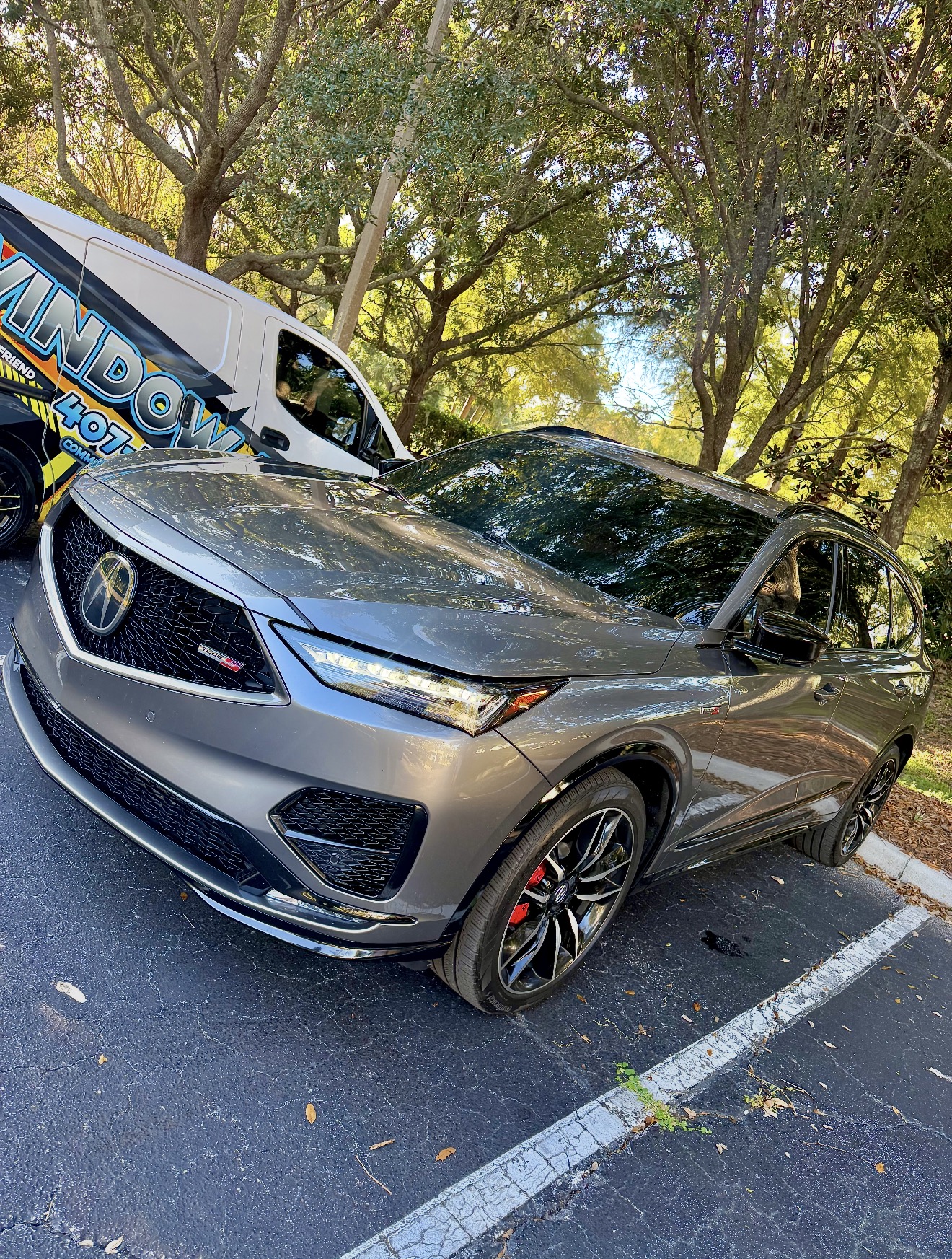 Tinted vehicle results